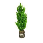 Nettenevime Yapay Çiçek Kütük Saksıda Çam Ağacı 50cm Yeşil