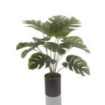 nettenevime Yapay Çiçek Monstera Deve Tabanı Siyah Saksılı Salon Çiçeği 12 Yaprak