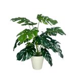 Nettenevime Yapay Çiçek Monstera Salon Çiçeği 50Cm Beyaz Saksılı Yapay Bitki