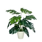 Nettenevime Yapay Çiçek Monstera Salon Çiçeği 50Cm Beyaz Saksılı Yapay Bitki