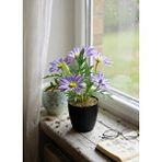 Nettenevime Yapay Çiçek Mor Margarit Papatya Siyah Saksıda Dekoratif Yapay Çiçek 30*25cm