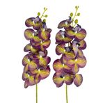 Nettenevime Yapay Çiçek Mor Sarı Çizgi Desenli Islak Orkide Gerçeksi Doku Uzun Dal 90 Cm