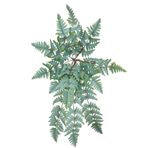 nettenevime Yapay Çiçek Pastel Cycas Aşk Merdiveni 80cm Eğrelti Otu Sıkas Bitkisi 12 Yaprak 40*80cm Yapay Bitki