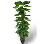 Nettenevime Yapay Çiçek Pothos Salon Sarmaşığı Tropik Salon Bitkisi Yapay Ağaç 165cm Yeşil