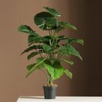 Nettenevime Yapay Çiçek Saksıda Pothos Yeşil 18DAL 75CM Salon Çiçeği Yapay Bitki - Açık Yeşil - Siyah