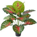 Nettenevime Yapay Çiçek Saksıda Tropik Kızıl Caladium 18 Dal 70 Cm Salon Çiçeği Yapay Bitki - Kırmızı
