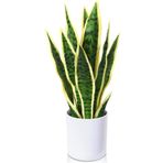 nettenevime Yapay Çiçek Saksılı Yeşil Kılıç Çiçeği Dal 68cm Salon Çiçeği Beyaz Seramik Saksılı Yapay Bitki