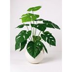 Nettenevime Yapay Çiçek Salon Bitkisi Monstera 70cm 18 Yaprak Beyaz Küre Saksıda Yeşil
