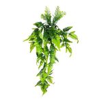 nettenevime Yapay Çiçek Sarkan Boston Fern Yapraklı Bitki Küçük Siyah Saksıda Yapay Sarmaşık 55cm