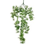 nettenevime Yapay Çiçek Sarkan Çiçek Yeşil Beyaz Fare Kulağı Şimşir Yapay Sarmaşık 60*30cm UV Katkılı Güneşe Dayanıklı