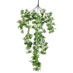 nettenevime Yapay Çiçek Sarkan Çiçek Yeşil Beyaz Fare Kulağı Şimşir Yapay Sarmaşık 60*30cm UV Katkılı Güneşe Dayanıklı