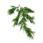 nettenevime Yapay Çiçek Sarkan Çiçek Yeşil Fern723 Yapay Sarmaşık 70*30cm UV Katkılı Güneşe Dayanıklı