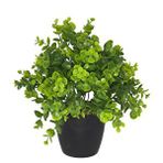 Nettenevime Yapay Çiçek Şimşir Eucalyptus Yapay Bitki Siyah Plastik Saksılı Dekoratif Süs Çiçeği Yeşil