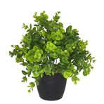 nettenevime Yapay Çiçek Şimşir Eucalyptus Yapay Bitki Siyah Plastik Saksılı Dekoratif Süs Çiçeği