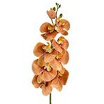 Nettenevime Yapay Çiçek Somon Rengi Islak Orkide Uzun Dal 90 Cm Orkide Pembe