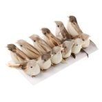 Nettenevime Yapay Kuş Serçe 10 Cm 12 Adet Li Kutu Renksiz