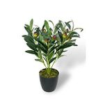 Nettenevime Yapay Zeytin Ağacı Saksıda 40cm 5 Dallı 10 Meyveli Yapay Çiçek Artificial Olive Yeşil