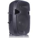 Network Ew-12 12INÇ 2 Yollu 500W Pasif Hoparlör