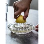 Nevamel Cam Limon Sıkacağı