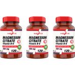 Nevfix Magnesium Citrate Vitamin B6 3x120 Tablet