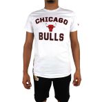 New Era Chicago Bulls Erkek Şapkası