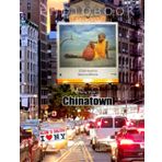 New York's CHINATOWN: A visual journey
