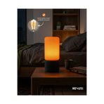 NEXUSS DESIGN Modern Firefly Masa Lambası – Dekoratif Abajur, Salon ve Yatak Odası Başucu Gece Lambası, Ev Dekoru