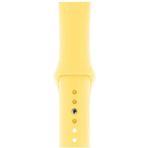 Nezih Case Apple Watch 3 4 5 6 7 8 9 10 SE Uyumlu 38 40 41 42mm A Kalite Kordon Kayış Bileklik Klasik Silikon