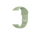 Nezih Case Klasik Kayış/kordon Apple Watch Seri 6 44mm Akıllı Saat Için Mint