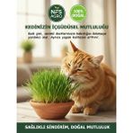 Nfs Agro Kedi Çimi Tohumu - 100 Gram