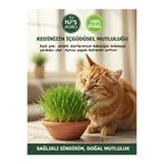 NFS AGRO KEDİ ÇİMİ TOHUMU - 500 GR