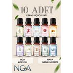 NGA Hava Nemlendirici için Esansiyel Uçucu Yağ Aroma Difüzörü Kokusu Buhurdanlık Yağı 10 ml (10 ADET)