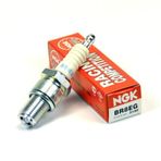 NGK BR8EG Buji