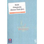 NIDÂ ODAĞINDA AHMET TELLI ŞİİRİ - AHMET TELLI