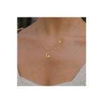 Nida Jewelry 925 Ayar Gümüş Ay Üstünde Kedi Kolye