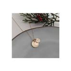Nida Jewelry 925 Ayar Gümüş Ay Yıldız Disk Kolye