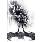 Nightwing #14 Var