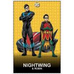 Nightwing And Robin (2015) Film Posterinin 500 Parça Puzzle Yapbozu