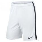 Nike 725881-100 Erkek Şort