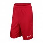 Nike 725887 657 Erkek Şortu