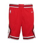 Nike AJ5593-657 Kırmızı Chicago Bulls NBA Erkek Basketbol Şortu