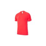 Nike AJ9088-671 M Nk Dry Acdmy19 Top Ss Erkek T-Shirt