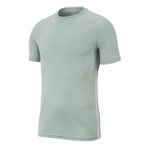 Nike AO0739-100 Beyaz B Nk Dry Acdmy Top Ss Erkek Çocuk T-Shirt