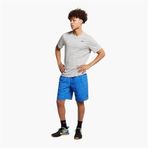 NIKE AR6029-063 Dri-FIT Crew Solid Erkek Gri Spor Tişört