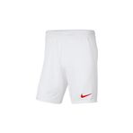 Nike BV6855-103 M Nk Df Park III Nb K Erkek Şort