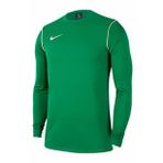 Nike BV6875-302 Park 20 Crew Yeşil Yuvarlak Yaka Uzun Kol Erkek T-Shirt