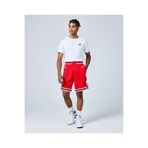 Nike Chicago Bulls Icon Edition NBA BASKETBOL ŞORTU-SPRTX