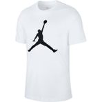Nike CJ0921-100 Beyaz Erkek T-shirt