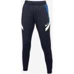 Nike CW6093-013 Kadın Eşofman Altı