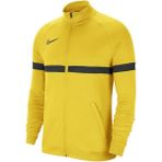 Nike CW6113-719 K Sarı Erkek Ceket